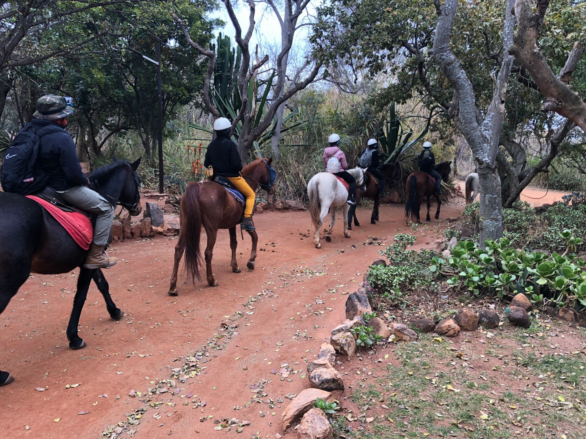 Horseriding from Johannesburg