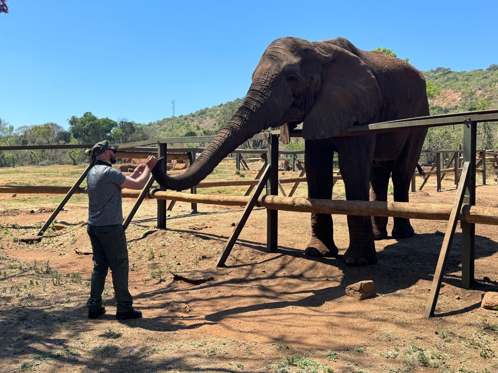 Elephant Sanctuary Tour from Johannesburg