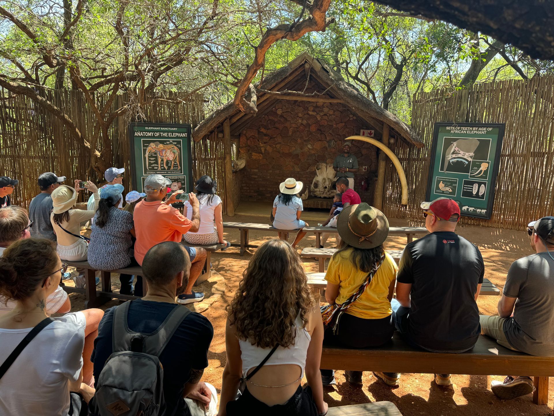 Visitors learning about the Anatomy of an Elephant