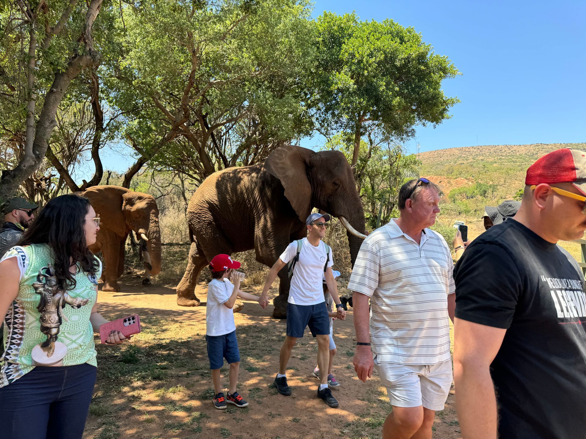 Walking with elephants at the elephant sanctuary tour