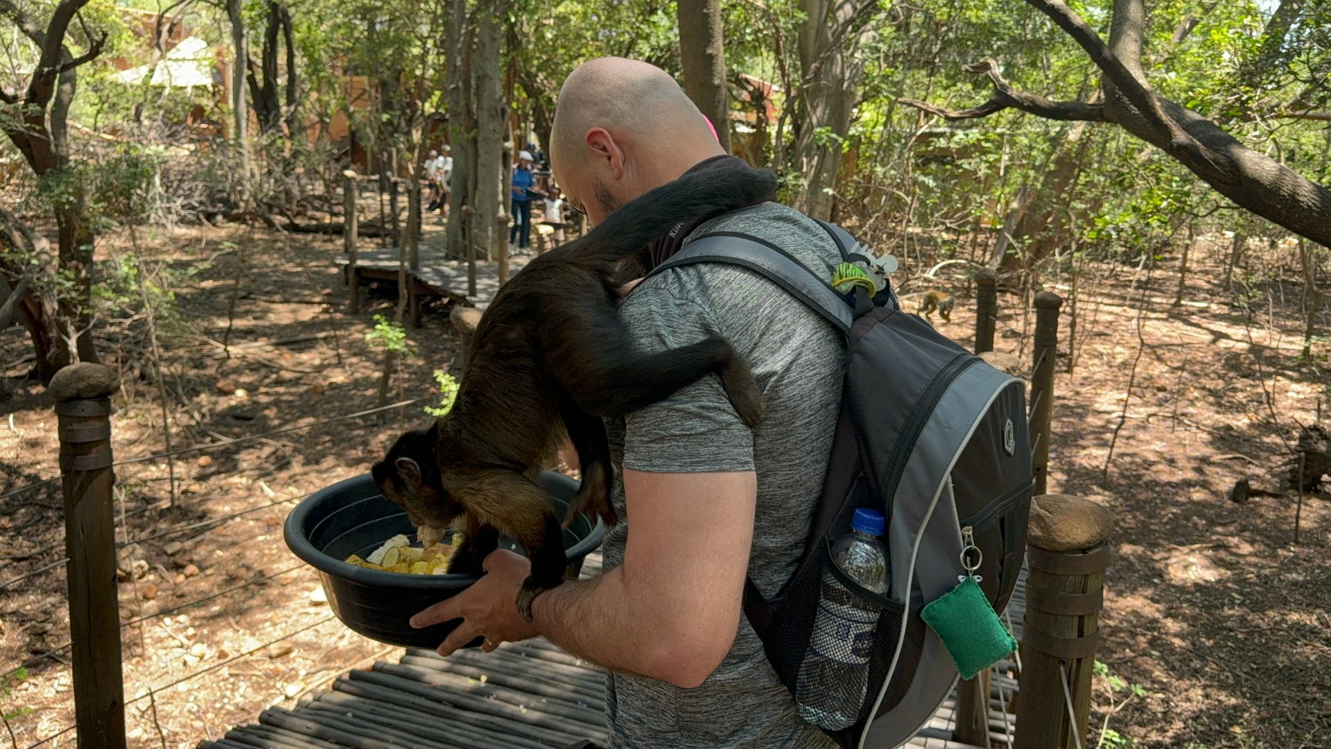 Touring the monkey sanctuary from Johannesburg