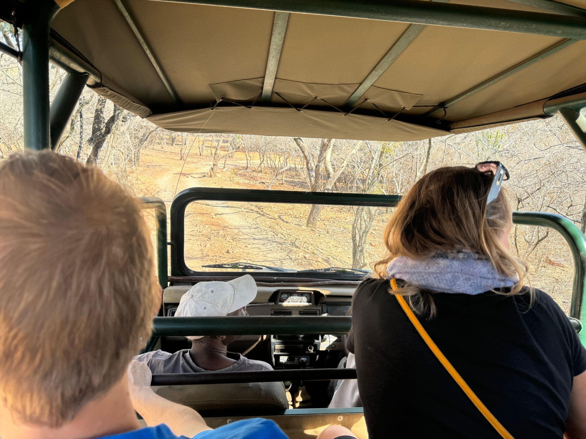 Cheetah Safari