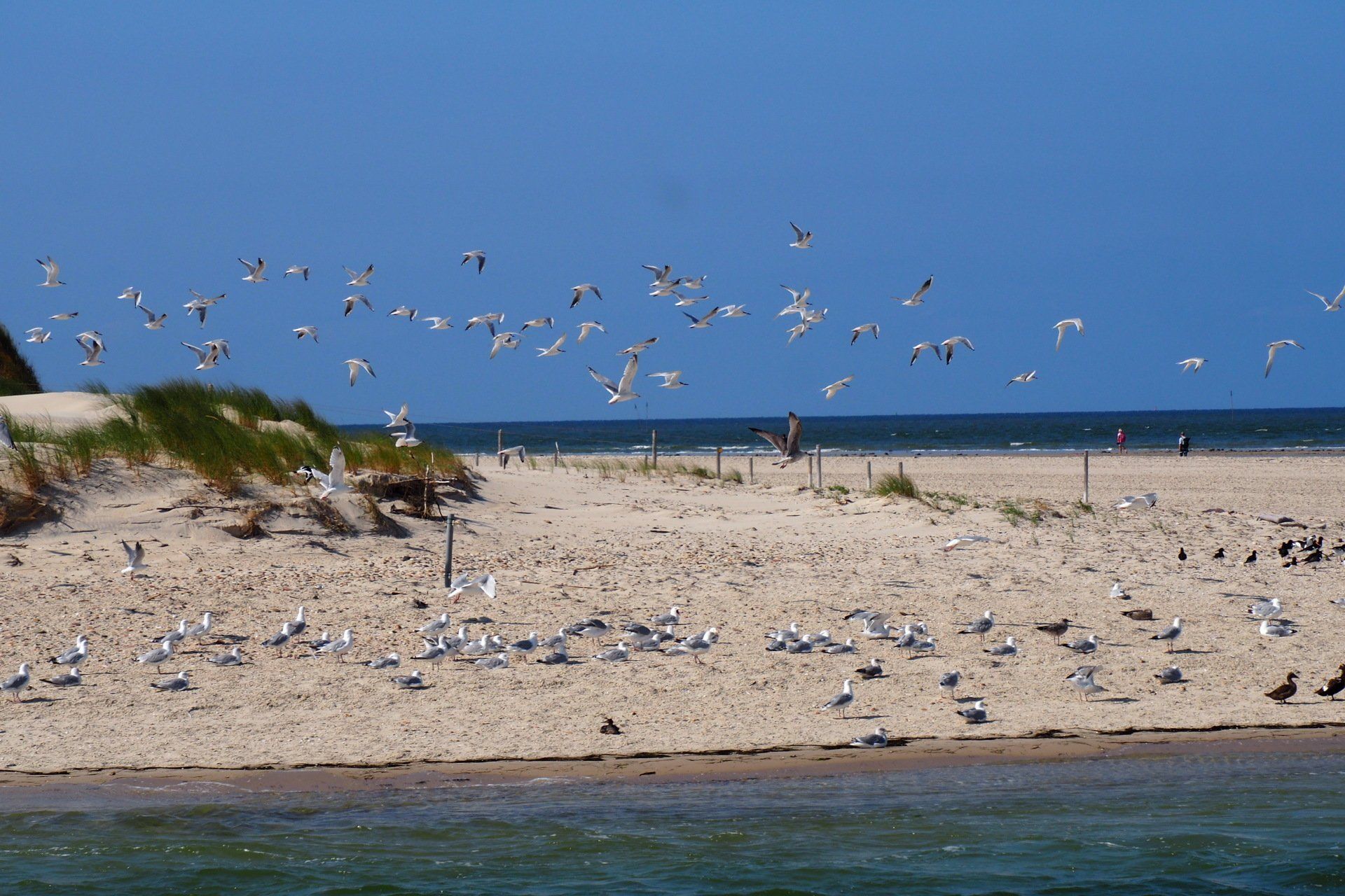 Die Amrumer Natur ist für Rituale sehr geeignet.