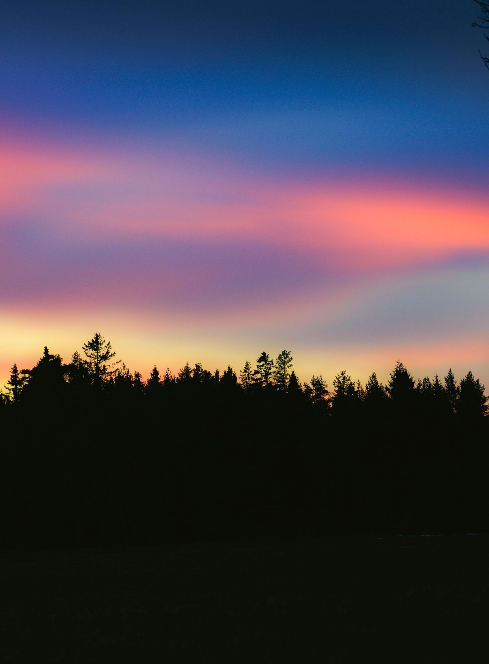 Sunset over trees.