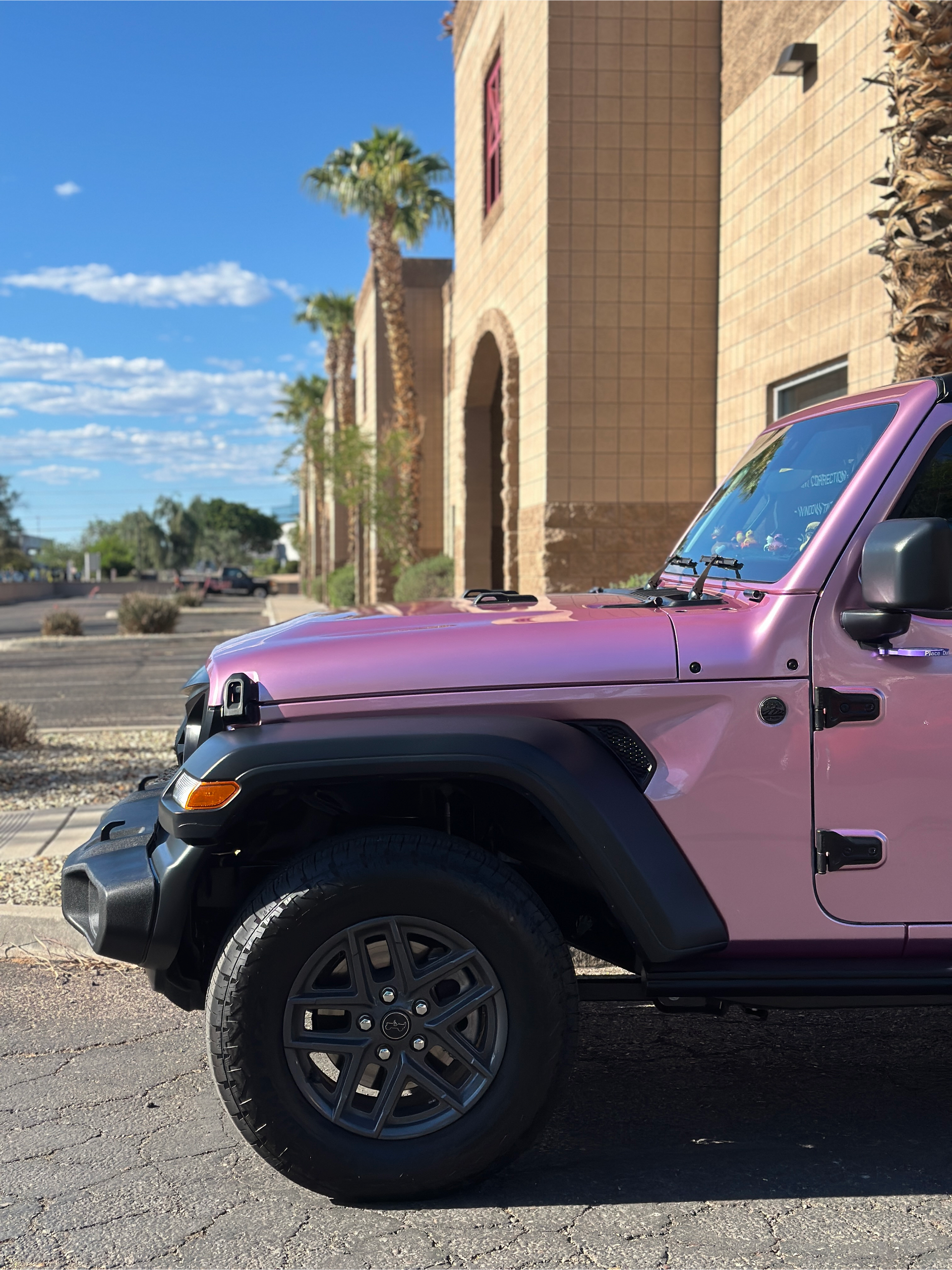 Pink Jeep | Impeccable Detail