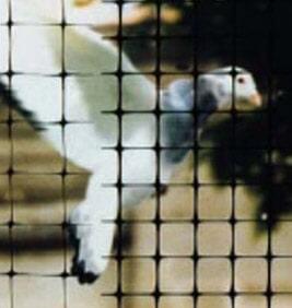 FUMIGADORA DEL CENTRO