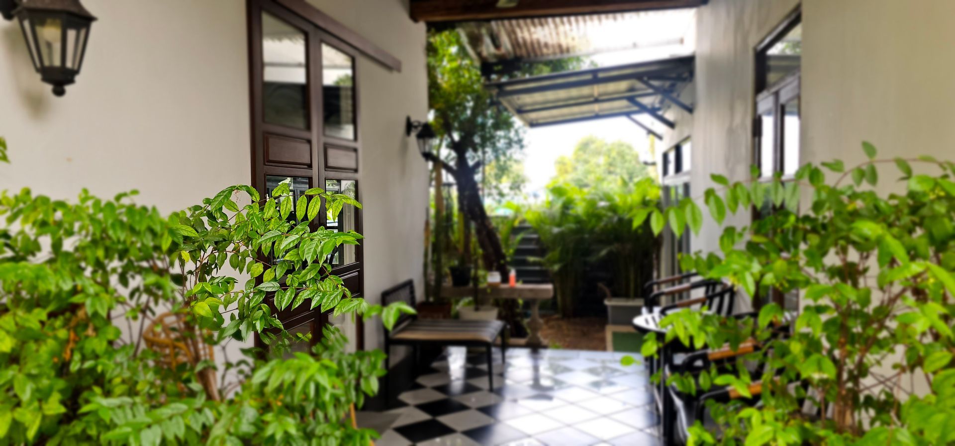 A white house with a black and white checkered floor is surrounded by trees and plants.