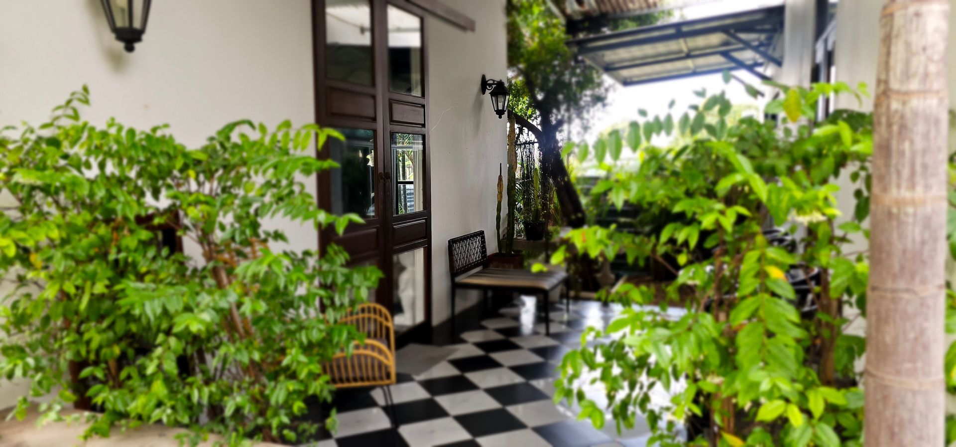A porch with a black and white checkered floor and lots of plants, this is our chill plae at GANJ LABS
