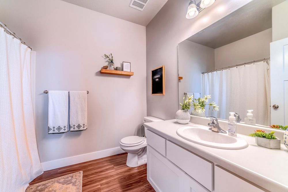 A Bathroom With A Toilet, Sink, Mirror And Shower Curtain — InStyle Shower Screens & Wardrobes in Newcastle, NSW