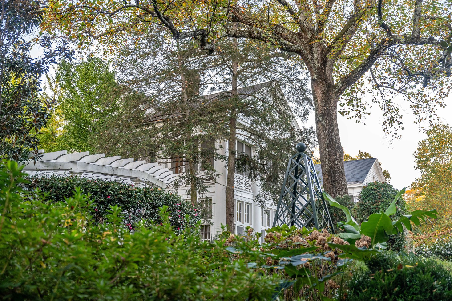 Lush garden with tall trees and a white building partially visible behind the foliage