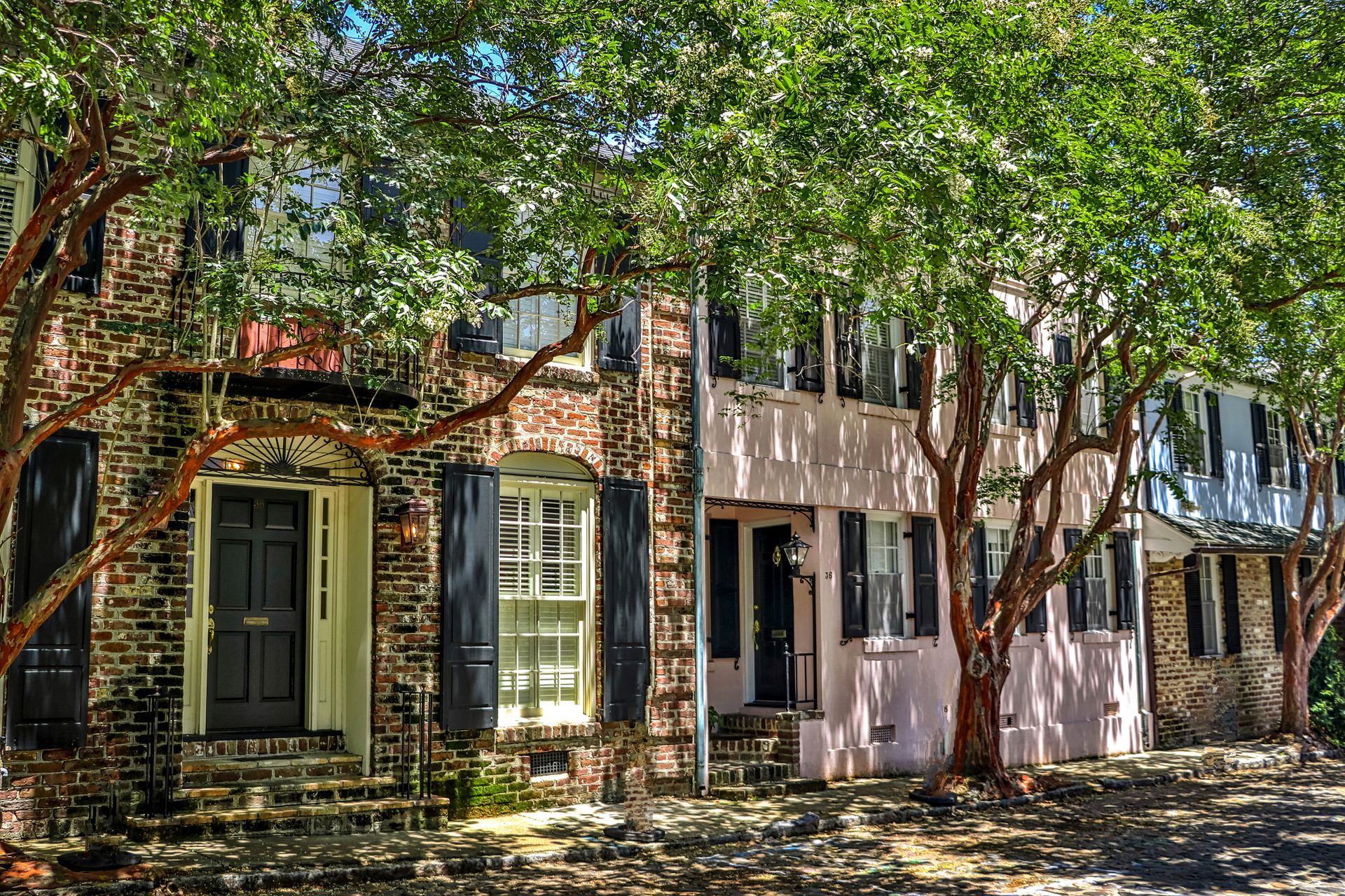 Historic brick townhouses shaded by leafy trees on a sunlit street