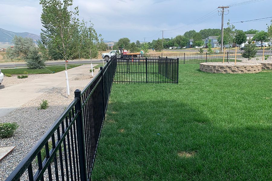 A black metal fence surrounds a lush green field.