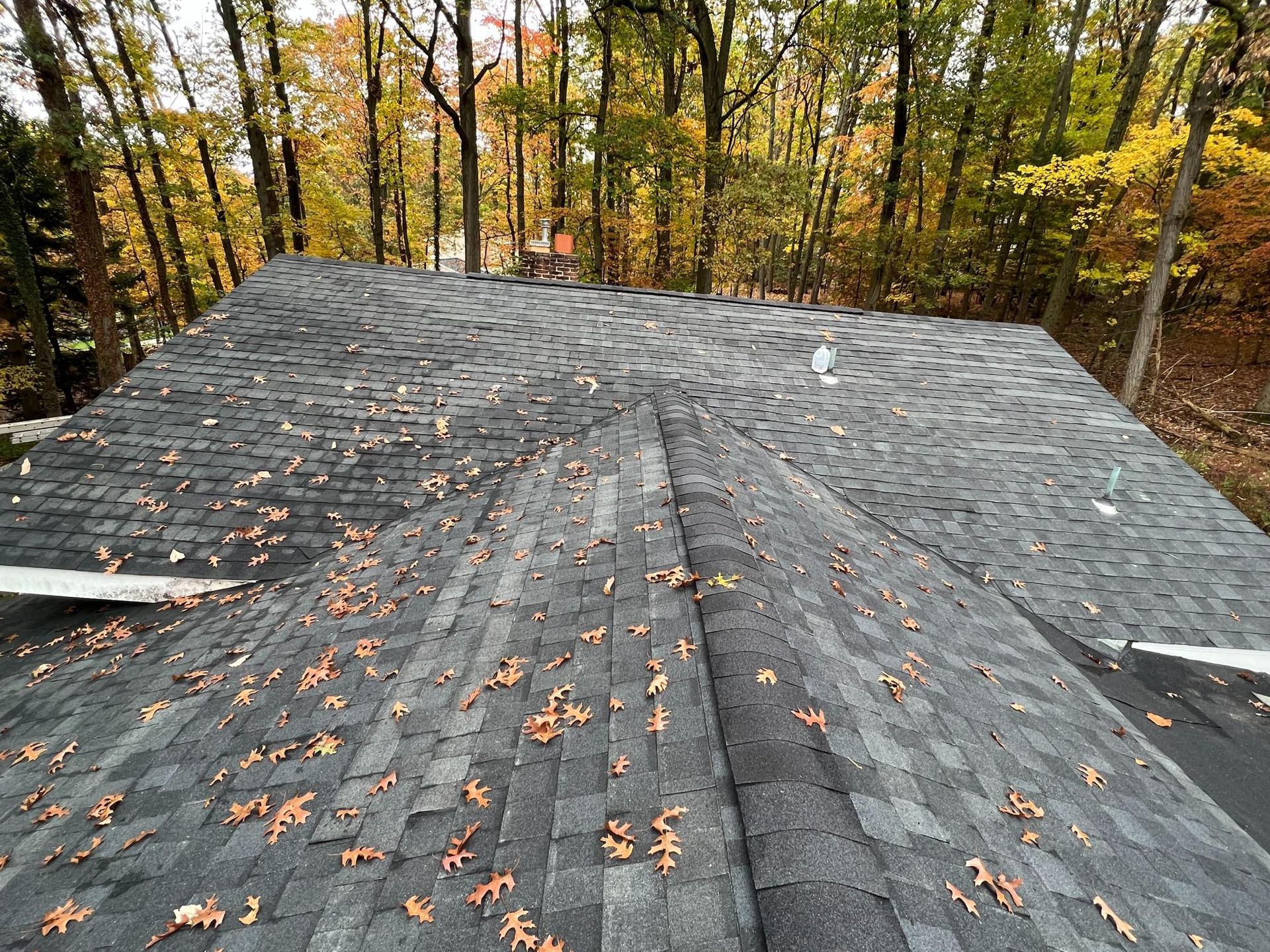 Dark shingle roof covered in fallen brown leaves, surrounded by autumn trees.