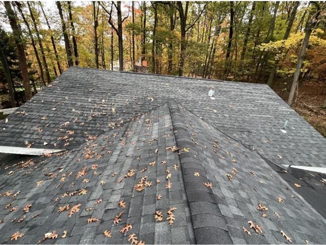 Dark gray shingled roof covered in autumn leaves, surrounded by trees.