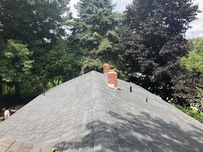 A shingled roof with two brick chimneys, surrounded by trees under a cloudy sky.