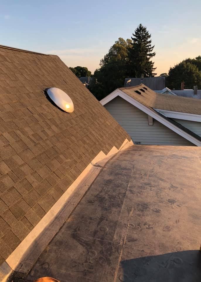 Rooftops with shingles and a skylight at sunset. Asphalt flat roof in foreground. Trees in the background.