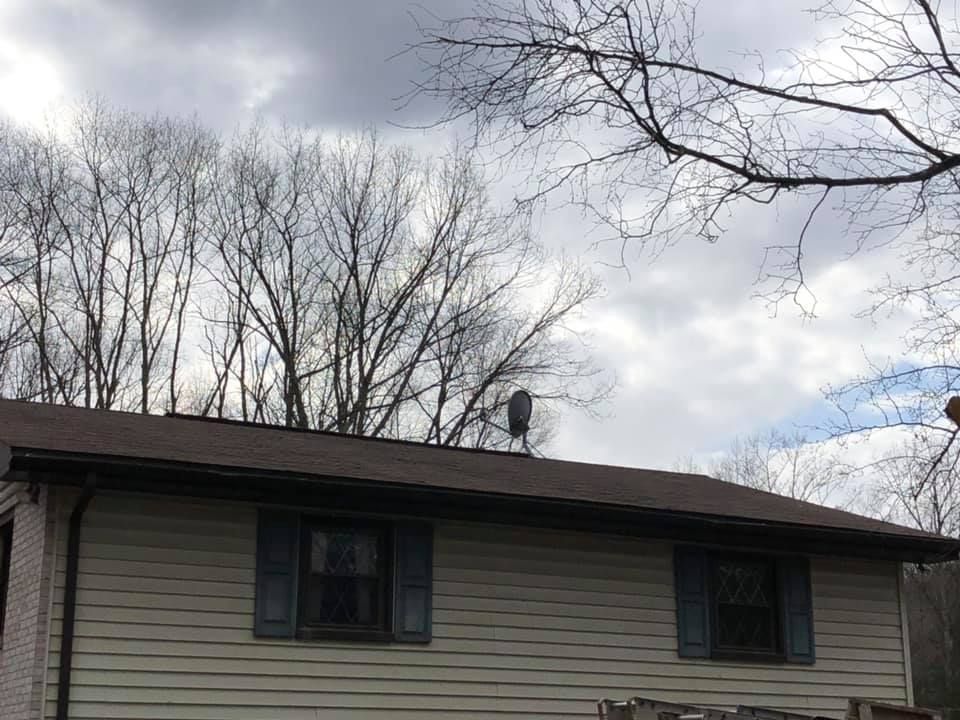 House with brown roof, two windows with blue shutters, satellite dish, and bare trees against a cloudy sky.