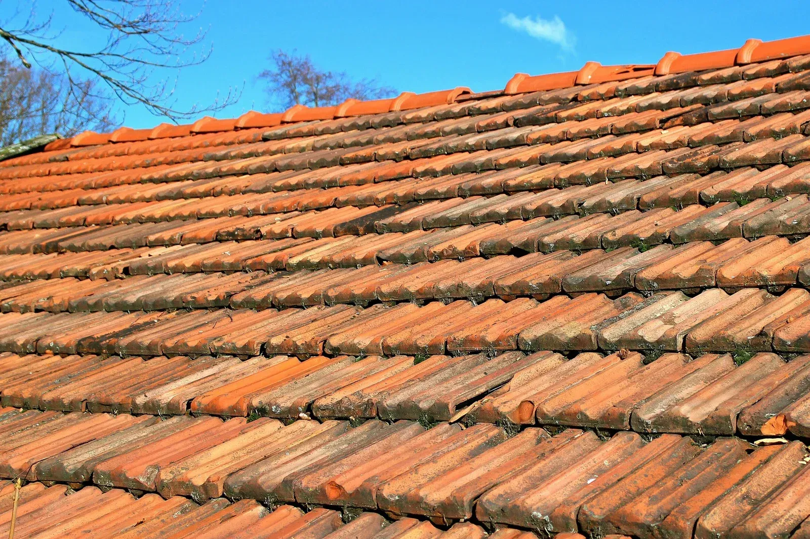 Red tile roof with moss and lichen, against a bright blue sky.