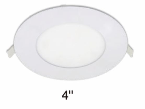 White 4