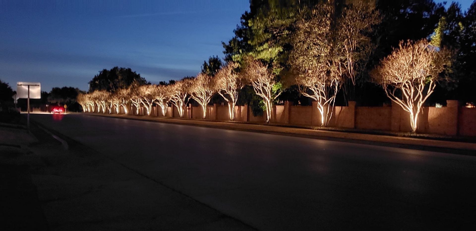 Row of Trees glowing