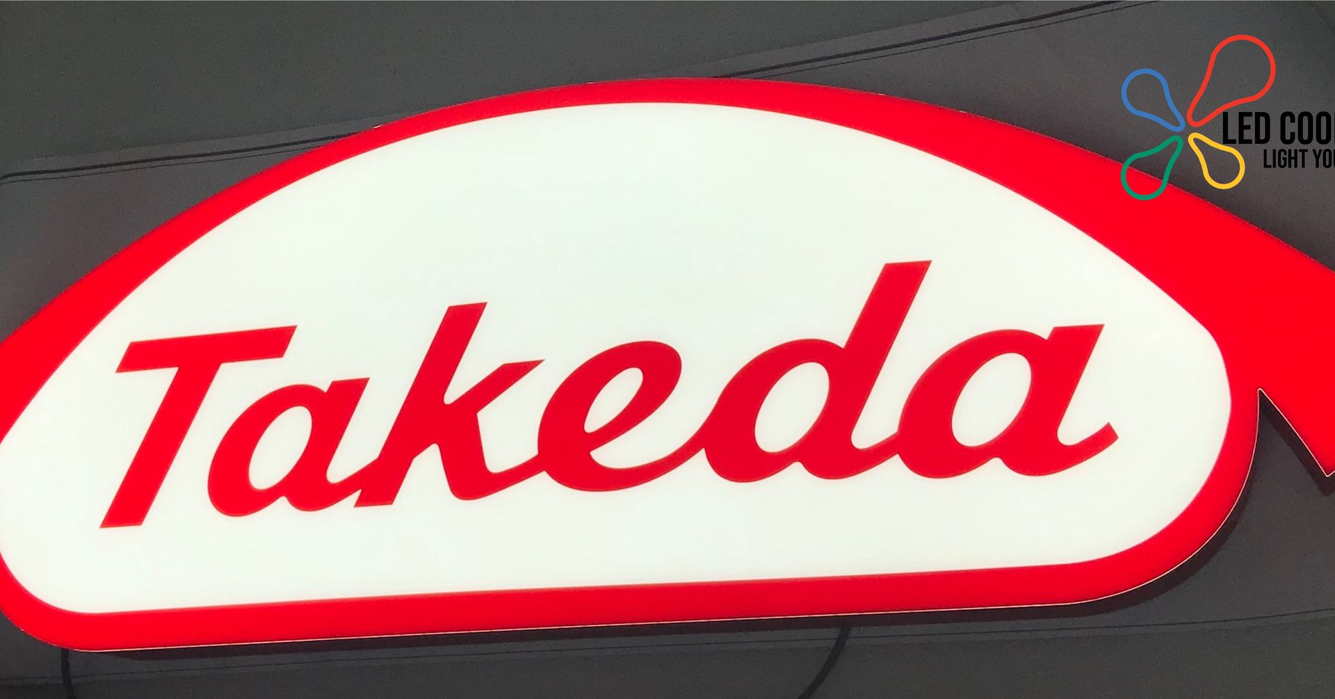 Takeda logo: Red text on a white background within a red, semi-circular border; on a gray surface.