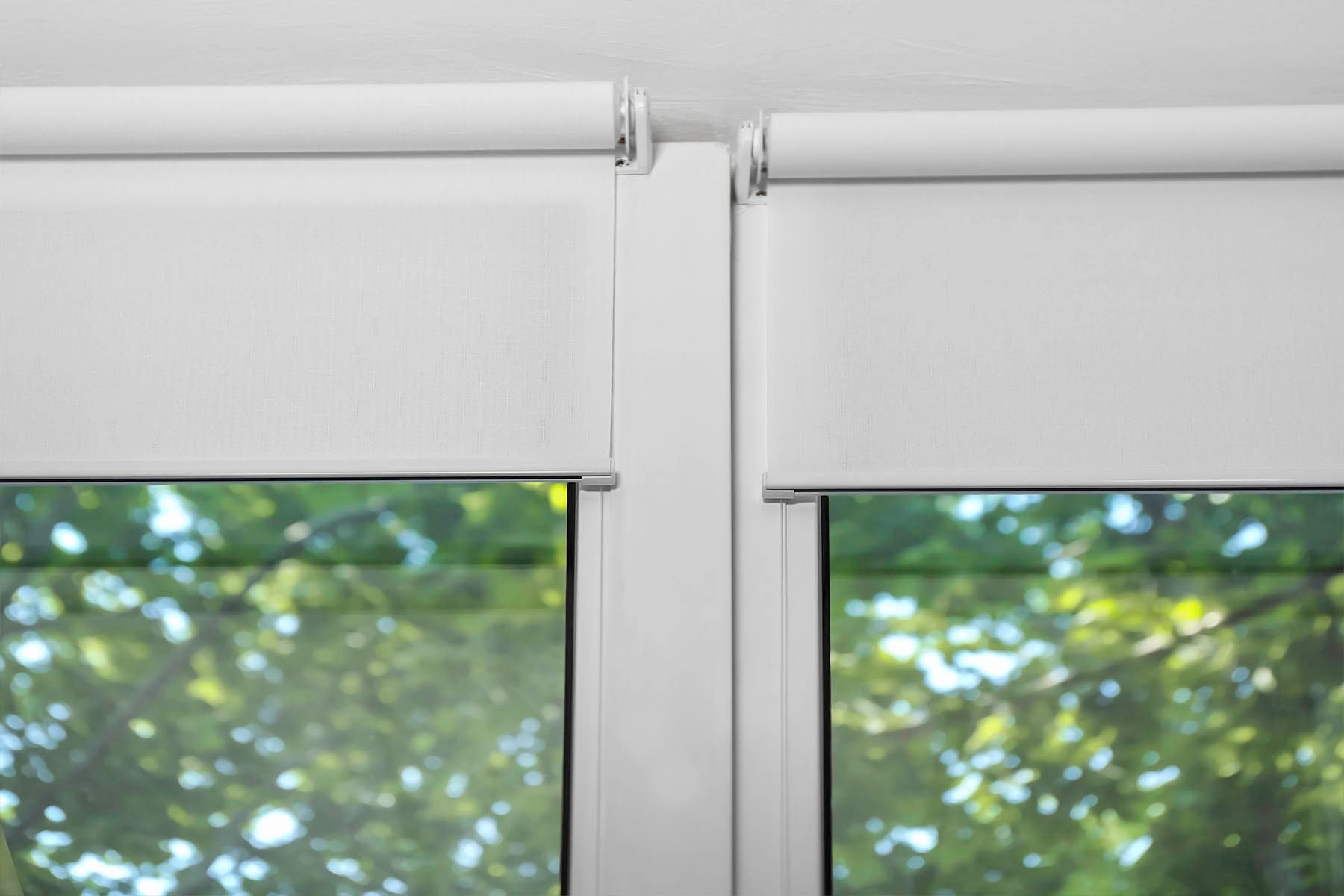White roller blinds partially cover windows with blurred green foliage visible outside.