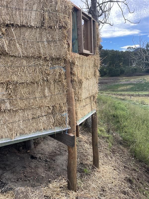 A Fire Pit Is Sitting On Top Of A Lush Green Lawn In A Backyard — Green e Building in Lennox Head, NSW