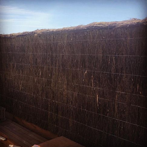 A Fence Made Of Willow Branches With A Blue Sky In The Background — Green e Building in Lennox Head, NSW