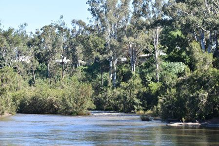 A River Surrounded By Trees On A Sunny Day — Green e Building in Casino, NSW