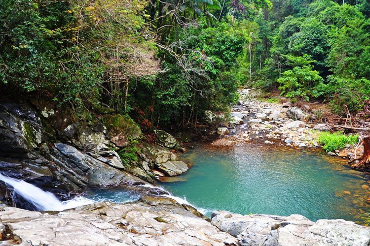 A Small Waterfall In The Middle Of A Forest Surrounded By Rocks And Trees — Green e Building in Currumbin Valley, QLD