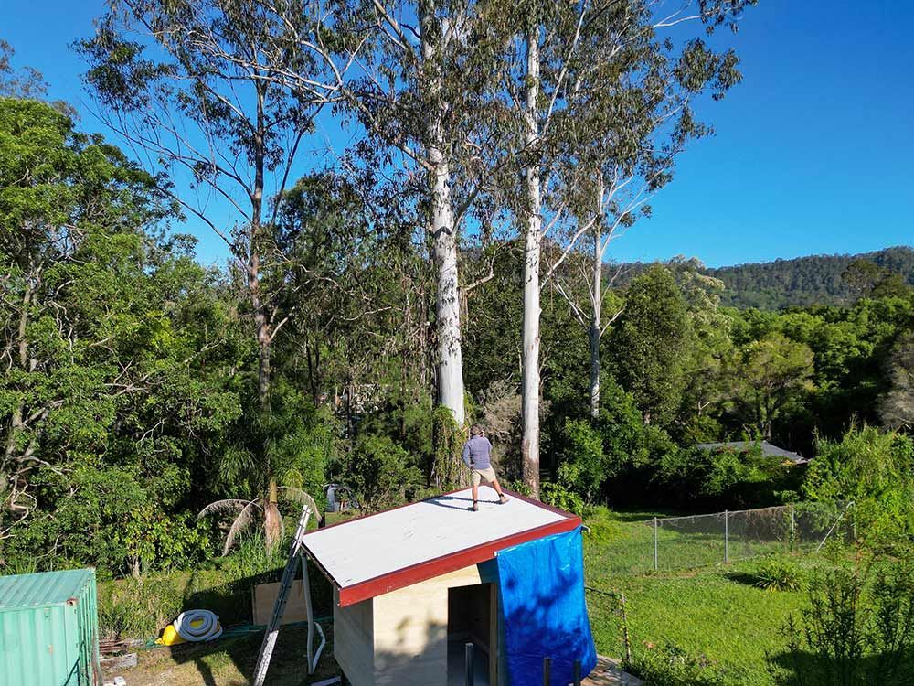A Man Is Standing On The Roof Of A Shed In The Woods — Green e Building in Evans Head, NSW