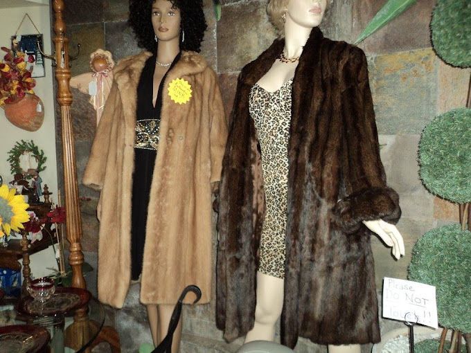 A room filled with lots of toys and books.