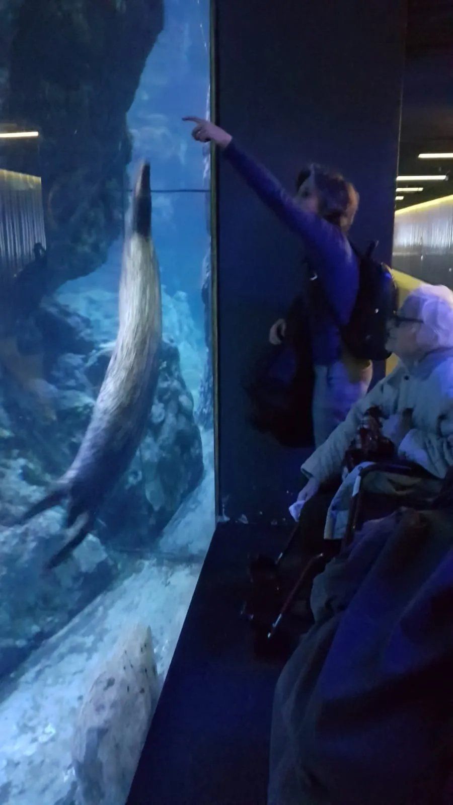 ospiti della residenza all'acquario di genova