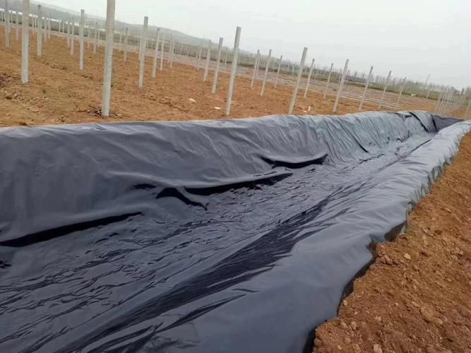 Canales de hormigón con barras de fibra de vidrio.