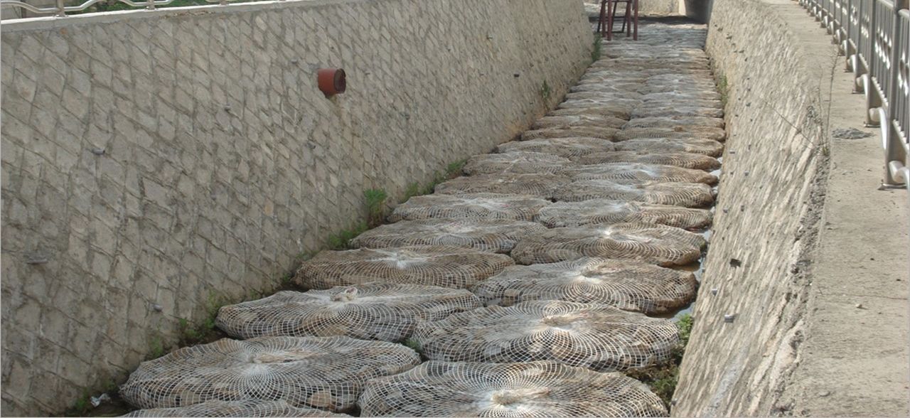 Canales con Concreto Encapsulado