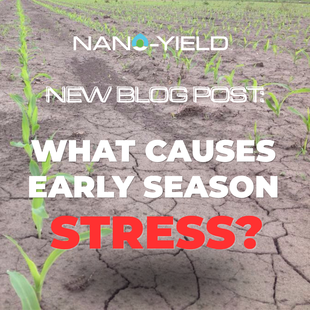 Corn field image with text saying