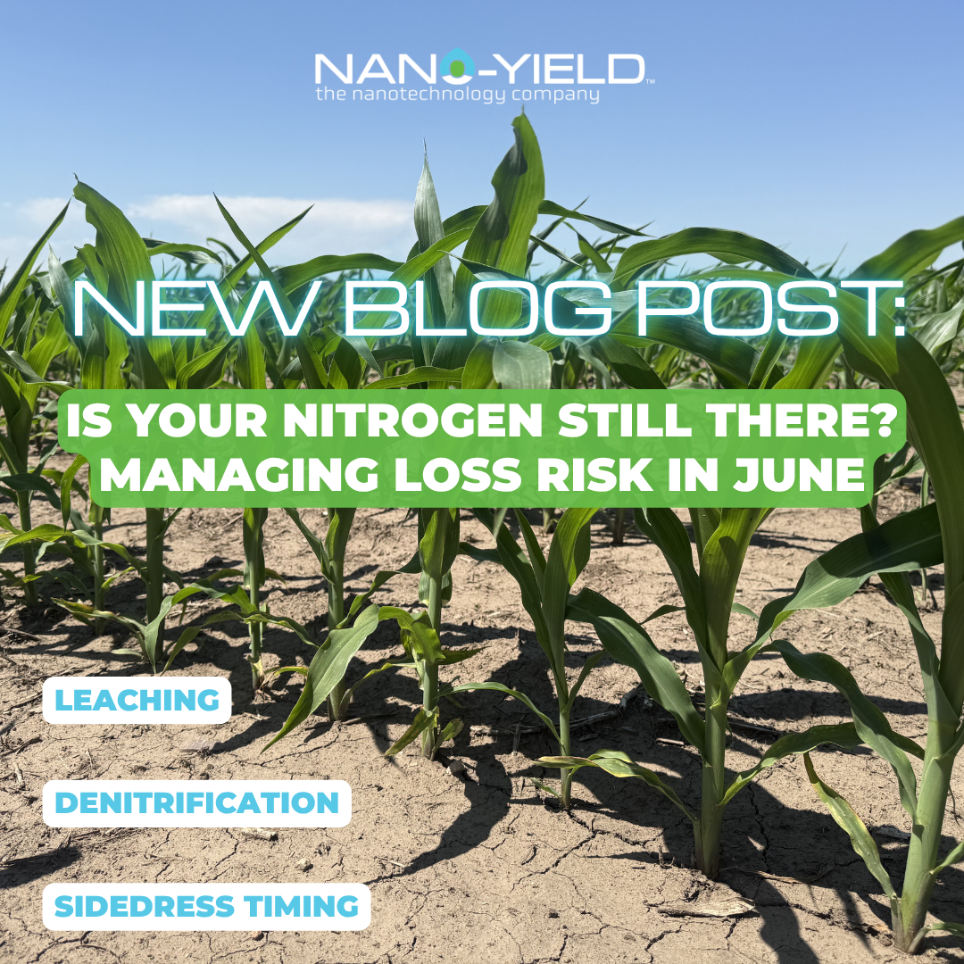 New Blog Post: Is Your Nitrogen Still There? Managing Loss Risk In June