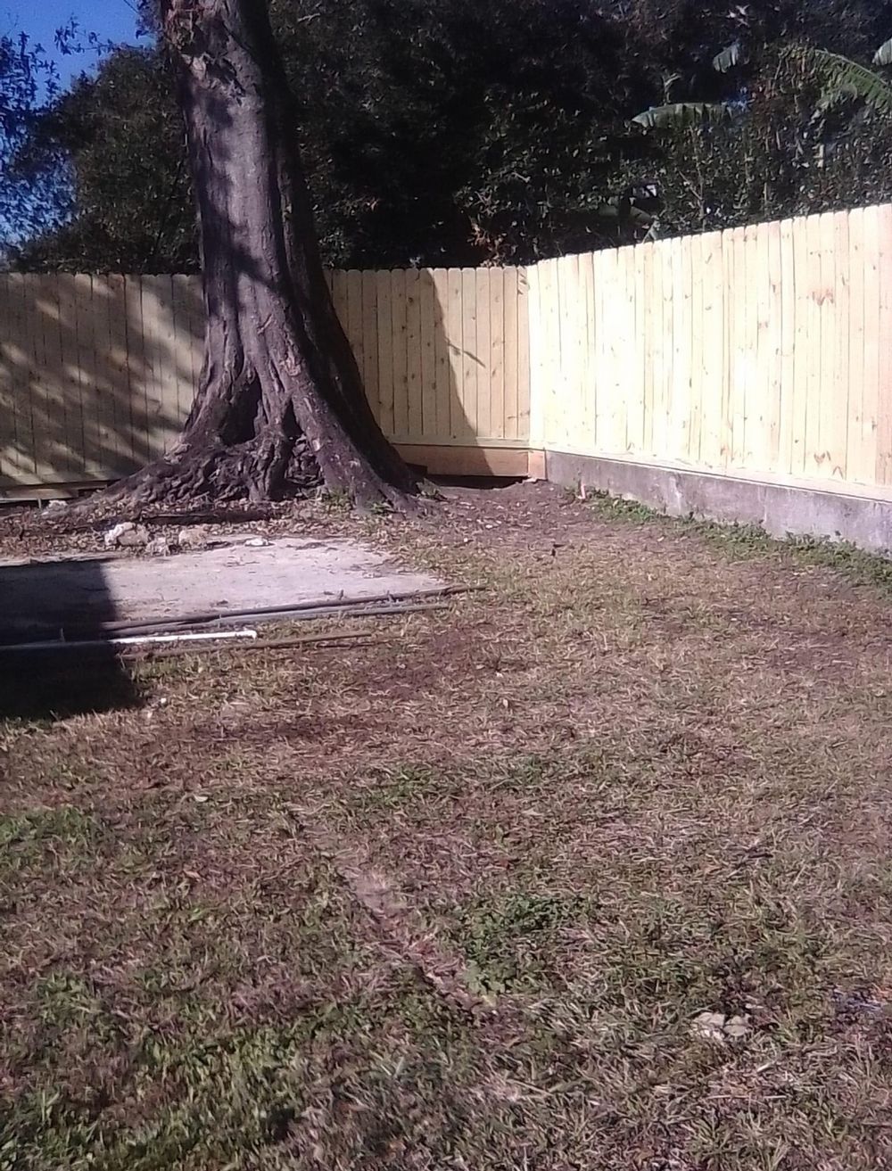 A wooden fence surrounds a large tree in a backyard.