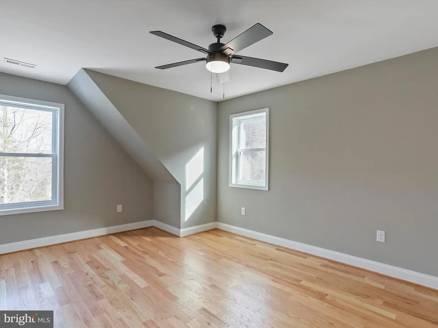 Empty bedroom with hardwood floors, two windows, gray walls, and a ceiling fan.