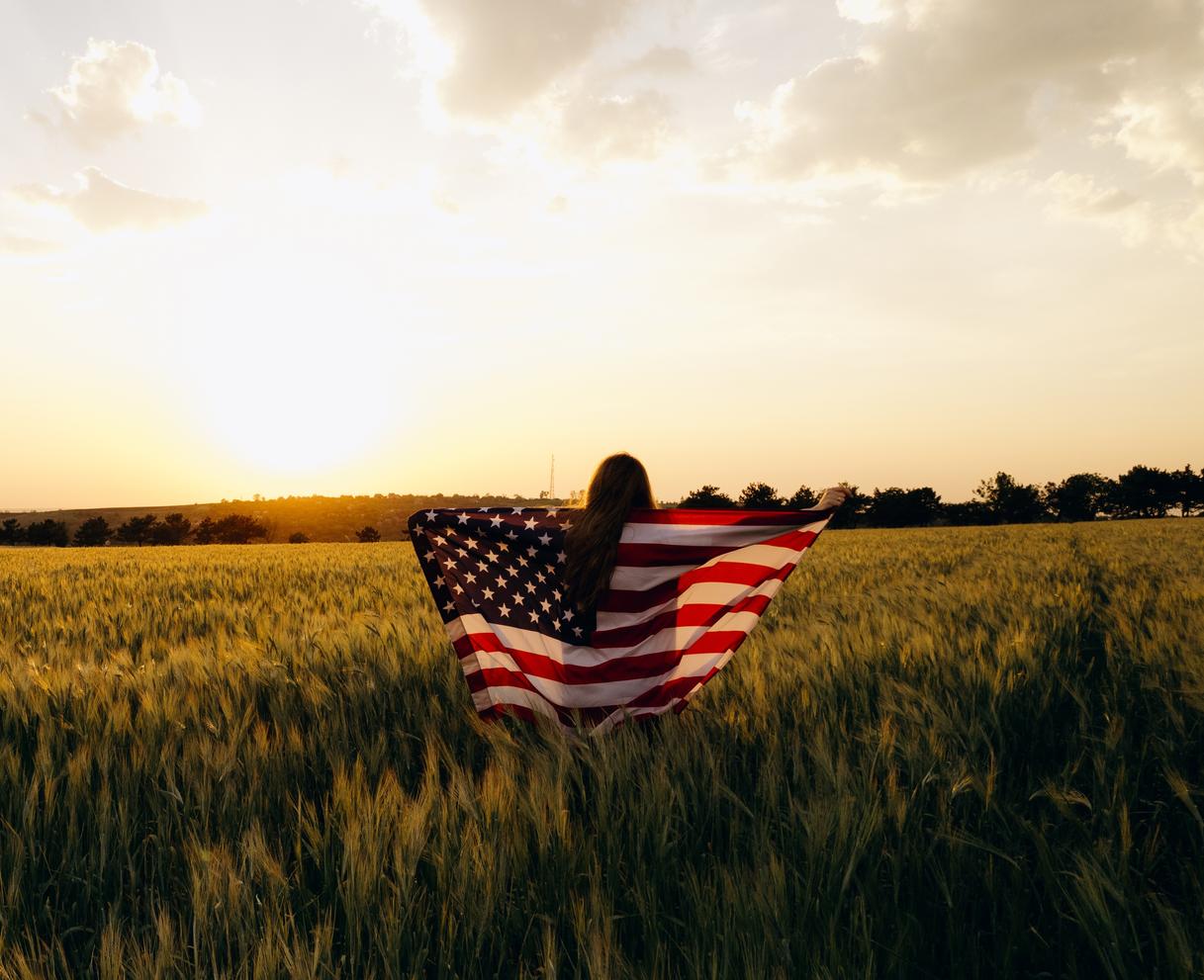 A fountain in a park with palm trees in the background