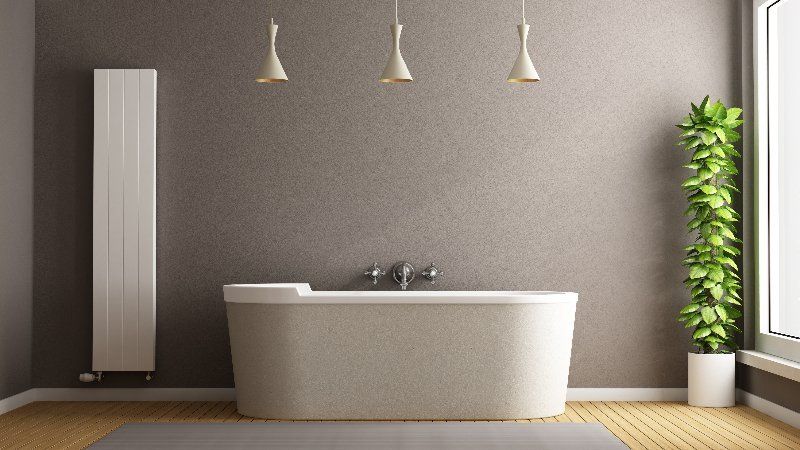 A bathroom with a bathtub and a plant