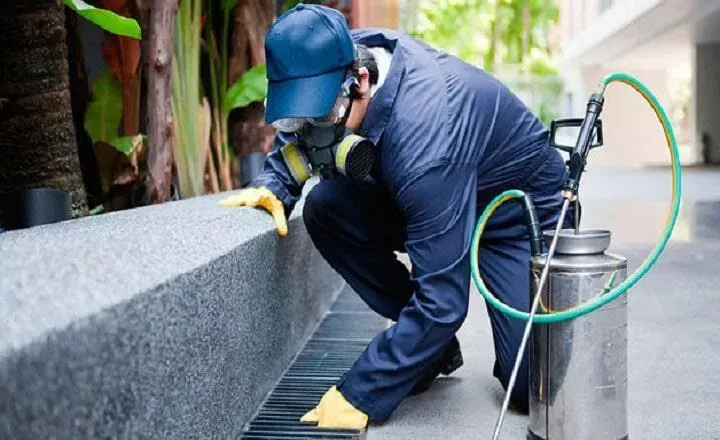 FUMIGACIONES ESTRATEGICAS AHR  