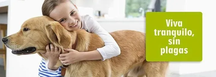 FUMIGACIONES ESTRATEGICAS AHR  