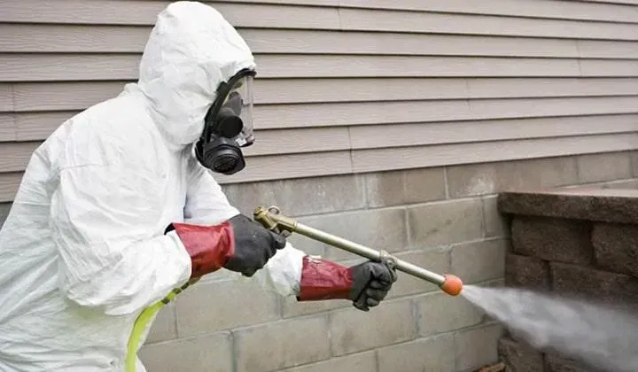 FUMIGACIONES ESTRATEGICAS AHR  