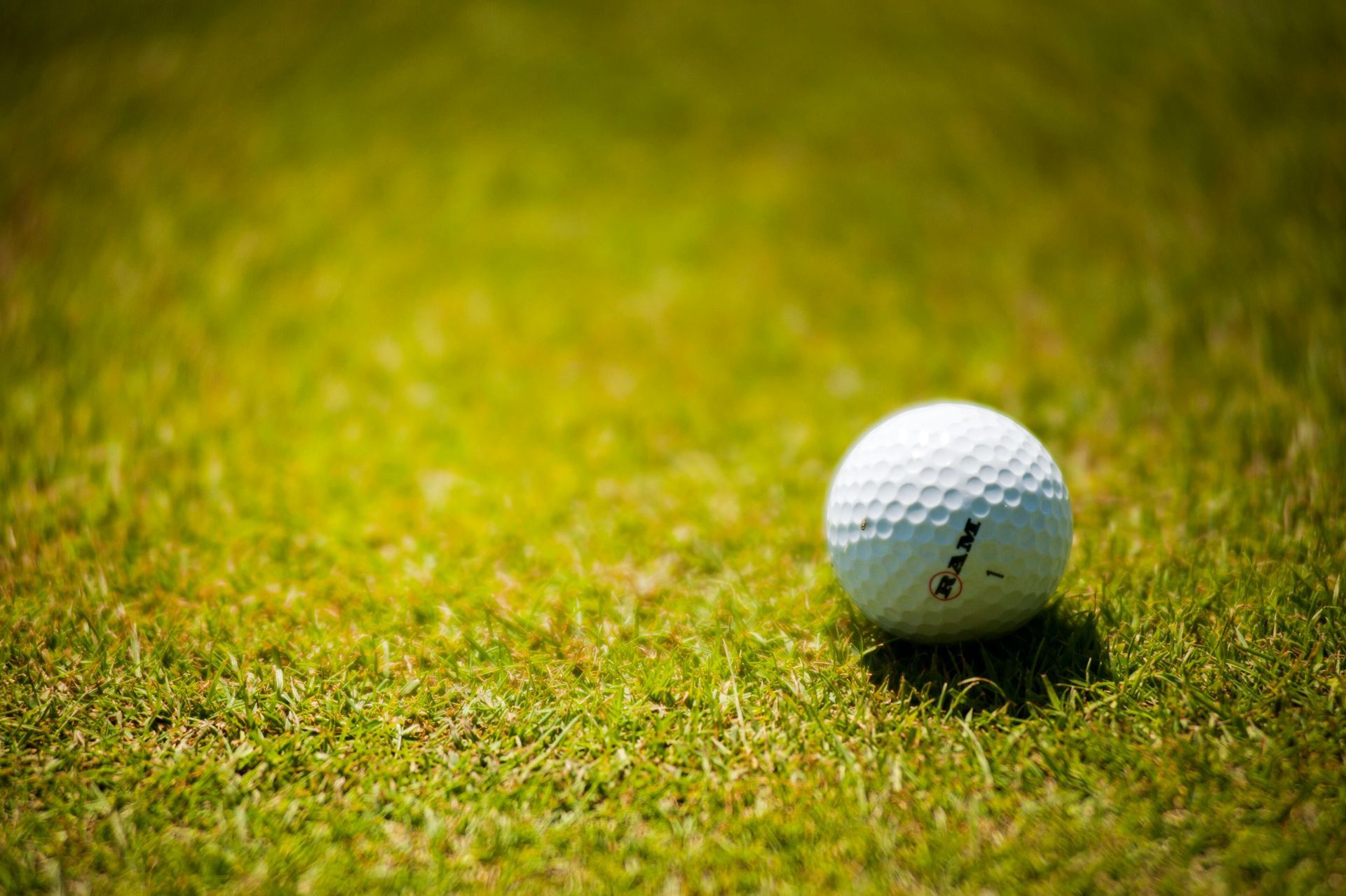 Three golf clubs and a golf ball are on the grass.