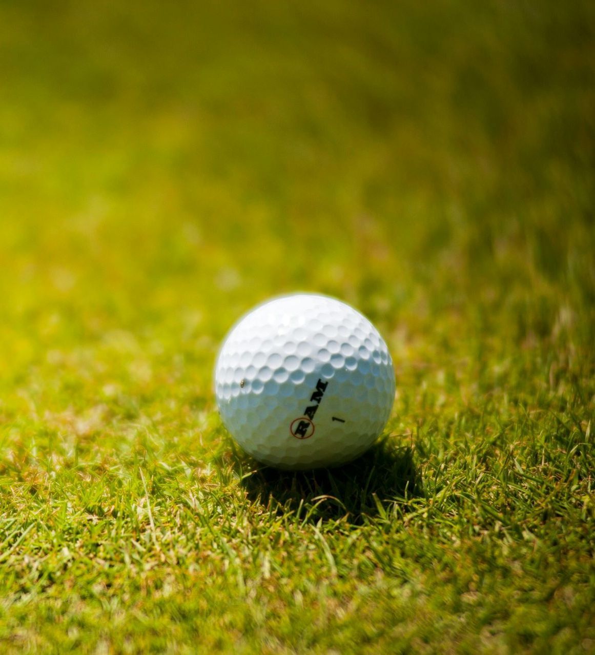Three golf clubs and a golf ball are on the grass.