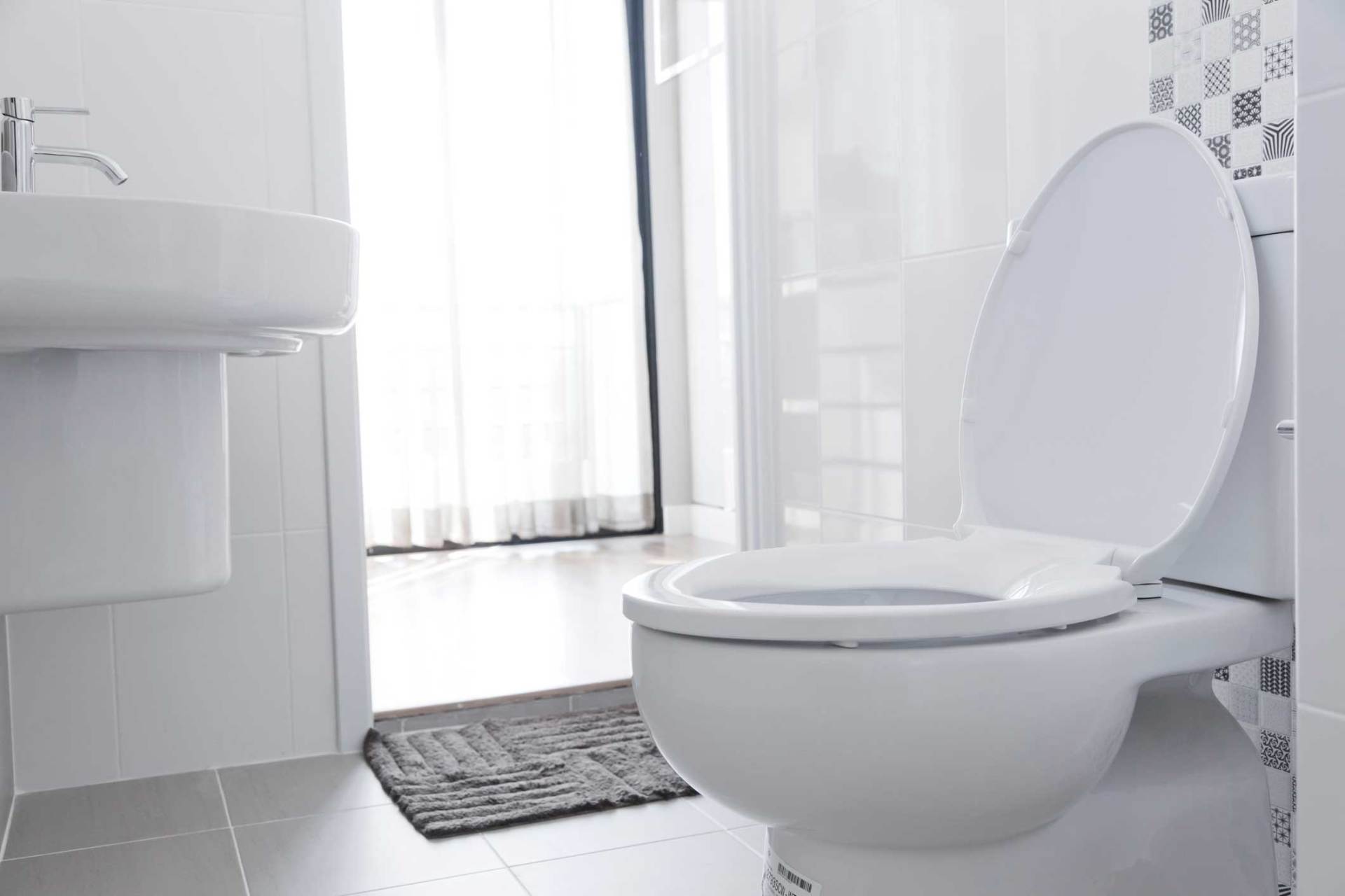 Clean Toilet — Toledo, OH — Alternative Plumbing Plus, Inc.