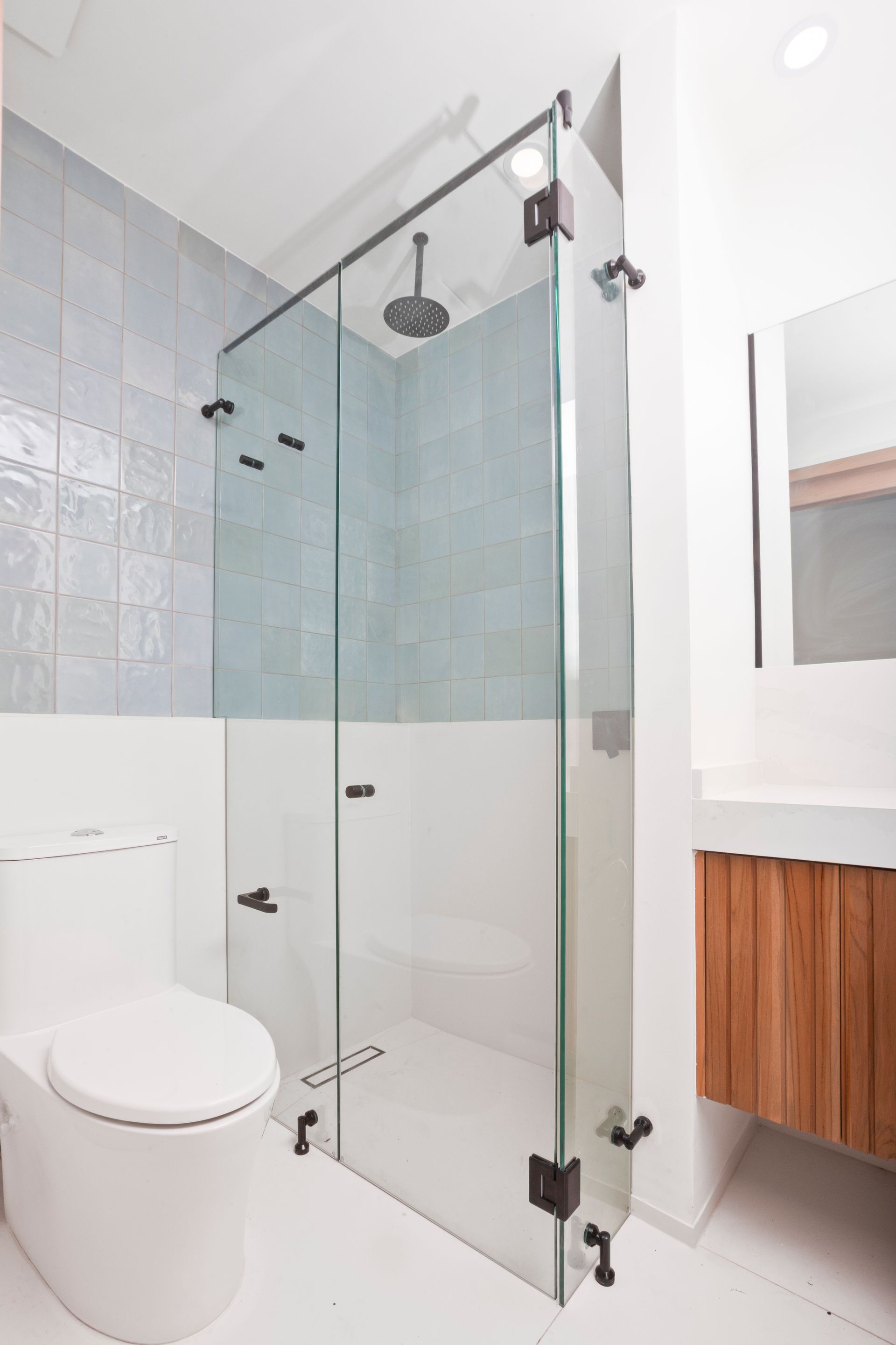 Modern bathroom with glass shower enclosure, toilet, and white vanity with wood cabinet.