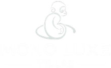 White logo of a stylized monkey sitting, with the company name “Monkey Play” below.