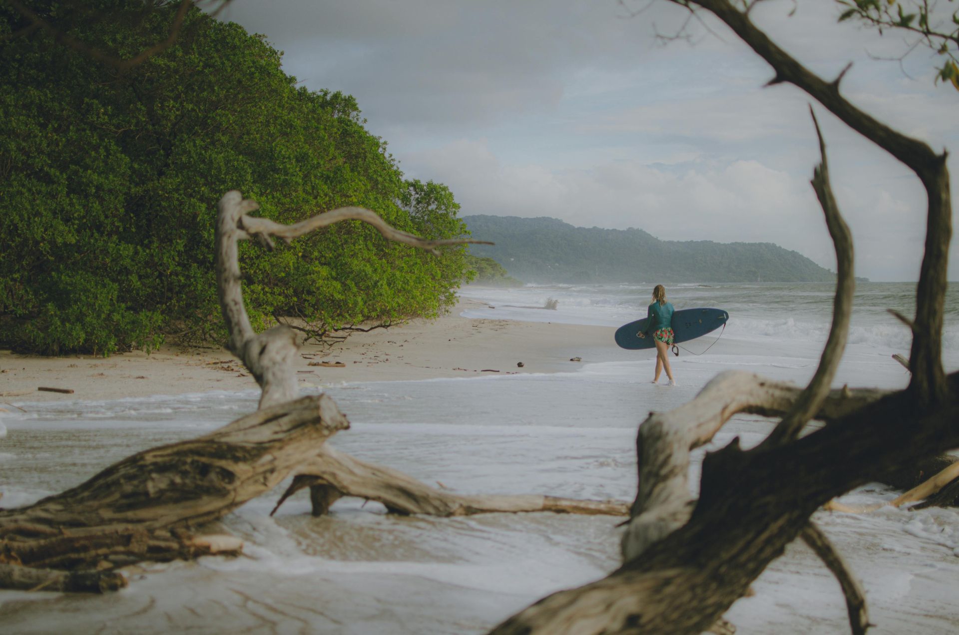 Person with surfboard walks on beach toward the ocean with green foliage and driftwood in the foreground.